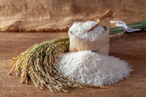 Basmati Rice Exporter in India